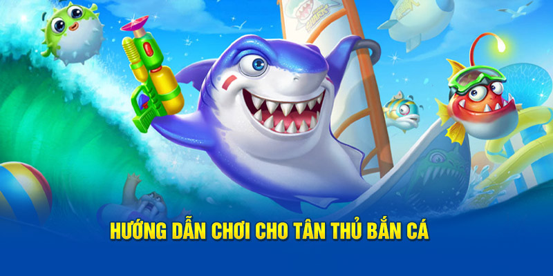 Hướng dẫn khám phá cho tân binh