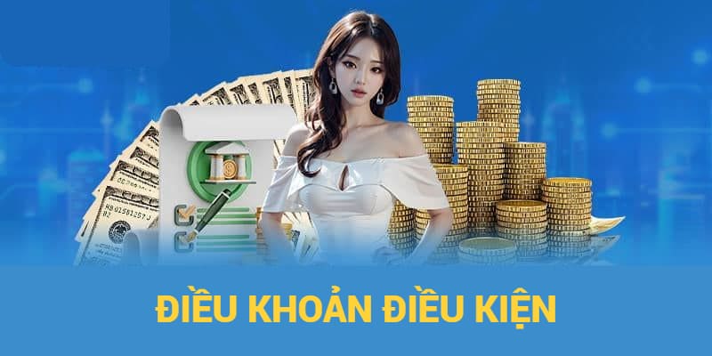 Quyền lợi người dùng khi tuân thủ điều khoản