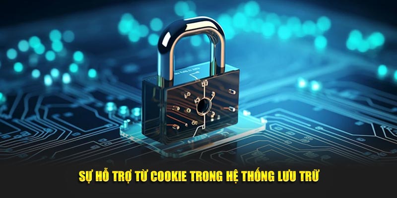 Sự hỗ trợ từ cookie trong hệ thống lưu trữ